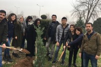 ALİ ŞEKER - PAÜ'lü Öğrenciler 100 Fidanı Toprakla Buluşturdu