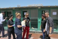 YUNUS KILIÇ - TBMM Komisyonundan Çankaya Barınağına Övgü