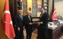 METIN ŞAHIN - Türkiye Taekwondo Federasyonu'ndan MHP Genel Başkanı Bahçeli'ye Ziyaret