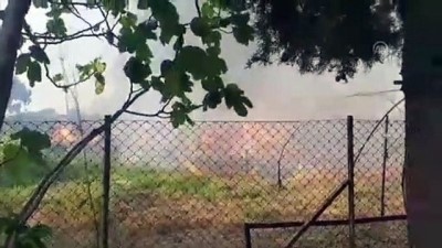 Urla'da Tarla Yangını