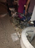 MALATYA ADLI TıP KURUMU - Bariyerlere Çarpan Motosiklet Sürücüsü Hayatını Kaybetti