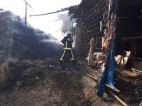 YALıNTAŞ - Bursa'da Ahırda Çıkan Yangında 10 Ton Buğday Kül Oldu