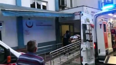 Giresun'da Ayının Saldırısına Uğrayan Çiftçi Yaralandı