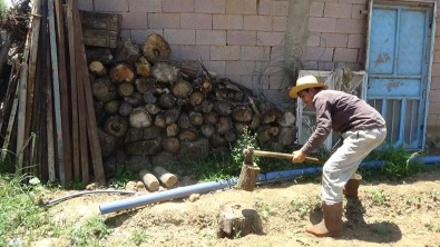 Hem Hayvanlara Baktı Hem LGS'de Birinci Oldu