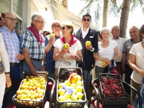 TURİST KAFİLESİ - İspanyol Turistler Gelendost Ve Ürünlerine Hayran Kaldı