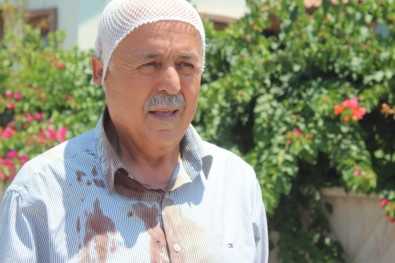 Manavgat'ta Sokak Köpeklerinin Saldırdığı Yaşlı Adam Hastanelik Oldu