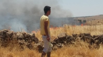 Mardin'de 6 Bin Dönümlük Anız Yangını