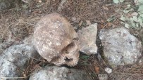 İNSAN KEMİKLERİ - Mersin'de 3 Kişiye Ait Kafatası Ve Kemik Bulundu