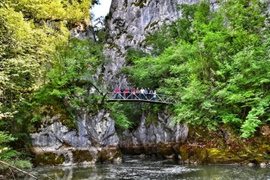 Öğretmenler, Doğa Harikası Çatak Kanyonunda 7 Kilometre Yürüdü