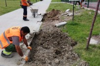 ÇANKAYA BELEDIYESI - Parklarda 'Akut Ekip' Dönemi