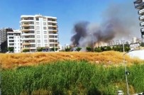 Şanlıurfa'da Anız Yangını Korkuttu