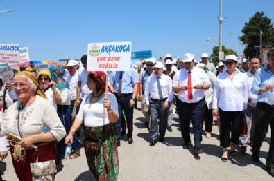 Akçakoca Uluslararası Finduk Fest Başladı