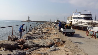 Alanya'da Haşere Mücadelesi Sürüyor