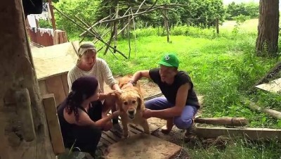 Çalıştıkları Çiftlikte Tatil Yapıp Türk Kültürünü Öğreniyorlar