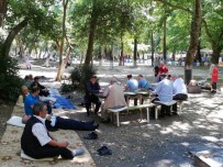 YAŞLILAR HAFTASI - Huzurevi Sakinleri Piknikte Stres Attı