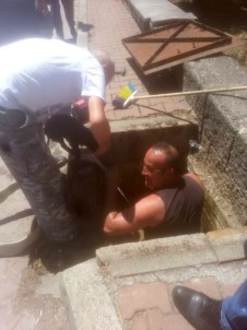 Kanalizasyona Düşen Yavru Köpeği İtfaiye Kurtardı