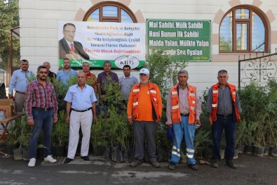 Kilis Belediyesi Asri Mezarlıkta Fide Dağıttı