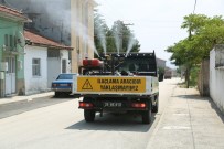 ODUNPAZARI - Odunpazarı'ndan Haşereyle Mücadele