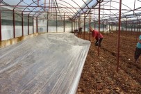 SEBZE ÜRETİMİ - Virüse Dayalı Ve Fungusit Hastalıklarla Baş Edemeyen Çiftçiler, Seralarda Solarizasyon Uygulaması Başlattı