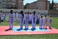 KEMERKAYA - 18 Branşda Açılan Yaz Spor Okullarına 4 Bin 200 Kişi Başvuru Yapıldı.