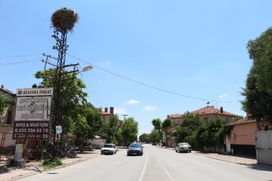 40 Yıllık Misafir Leylekler Yavrularını Göçe Hazırlıyor