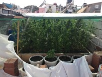 Balıkesir'de Tonlarca Uyuşturucu Ele Geçirildi