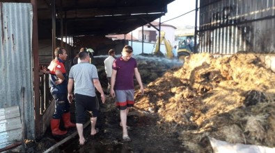 Çal'da Ahır Yangını