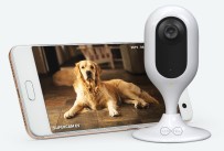 TURKCELL - Ev Ve İş Yerleri Anlık Cepten İzlenecek