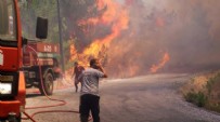 YANGıN YERI - Heybeliada'da yangın paniği!