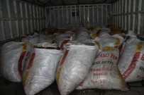 İNCİ KEFALİ - Muradiye İlçesinde 4 Ton Kaçak Avlanmış İnci Kefali Ele Geçirildi