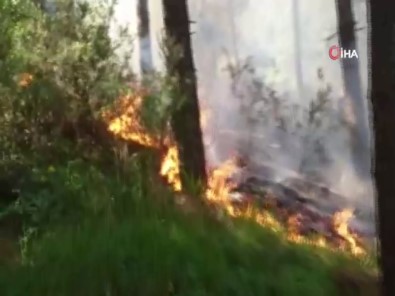 Aydos Ormanı'ndaki Yangın Kontrol Altına Alındı