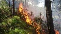 SEMERKANT - Aydos Ormanı'ndan Alevler Yükseliyor