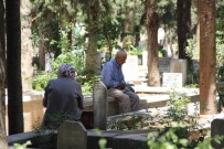 11 AYıN SULTANı - Bayram Öncesi Mezarlıklara Akın