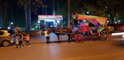 Develi'de Fayton Turu Başladı