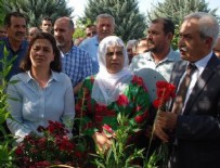 HDP'liler terörist mezarlığını ziyaret etti