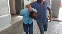 BONZAI - İstanbul'dan Bonzai Getirirken Yakalandılar