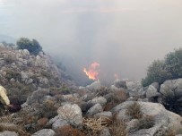KNIDOS - Datça'da 3 Kola Ayrılan Yangın 12 Saat Sonra Kontrol Altına Alındı
