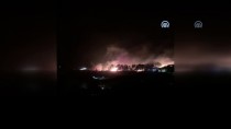 GÜNCELLEME - İzmir'de Otluk Alanda Yangın