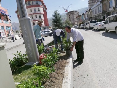 Hakkari Belediyesinden Yeşillendirme Çalışması