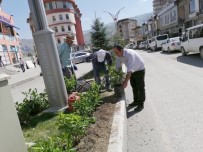 KAZMA KÜREK - Hakkari Belediyesinden Yeşillendirme Çalışması