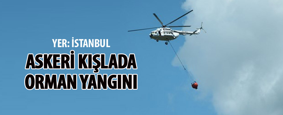 Hasdal'da askeri alandaki ormanda yangın