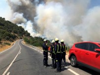 TOLEDO - İspanya Orman Yangınlarıyla Mücadele Ediyor