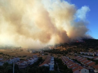 İzmir'deki Orman Yangını Kontrol Altında