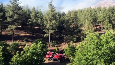 Kahramanmaraş'ta Orman Yangını