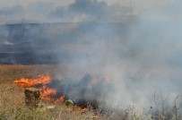 ZEYTİN AĞACI - Mahalleli Kovaa Ve Küreklerle Yangını Durdurmaya Çalıştı