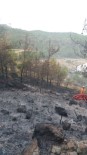 Mersin'de Orman Yangını Haberi