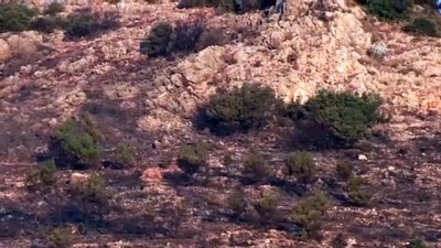 Muğla'daki yangında 5 hektar alan zarar gördü