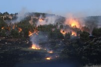 BEŞPıNAR - Orman Yangını Güçlükle Kontrol Altına Alındı