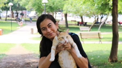 Sokaktaki Kedileri Besleyen Öğretmeni 'Gösteriş İçin Yapıyorsun' Diyerek Darp Ettiler