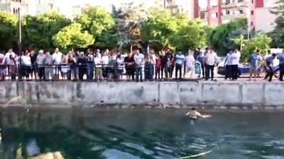 Sulama Kanalına Düşen Otomobilin Sürücüsü Kurtarıldı